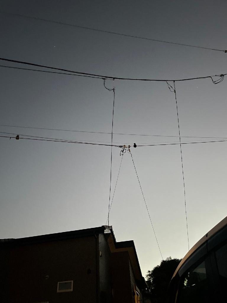 庭からスマホで撮った、電線の見える住宅街の夕方の空